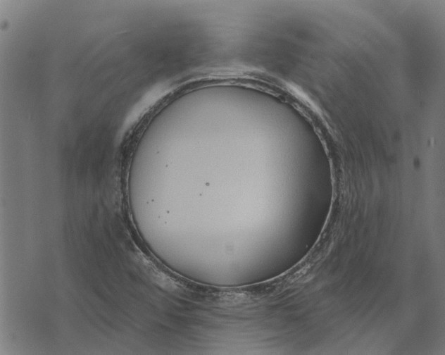 X0000073521456200608211752