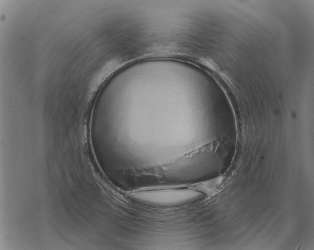 X0000073521459200608211752