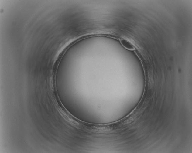 X0000073521460200608211752