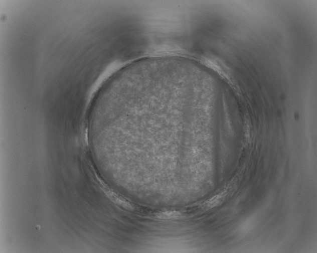 X0000073521462200608211752