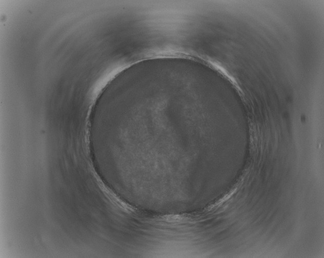 X0000073521463200608211752