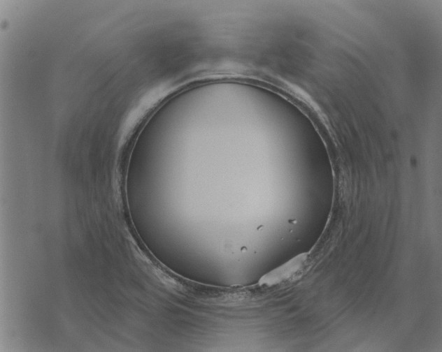 X0000073521464200608211752