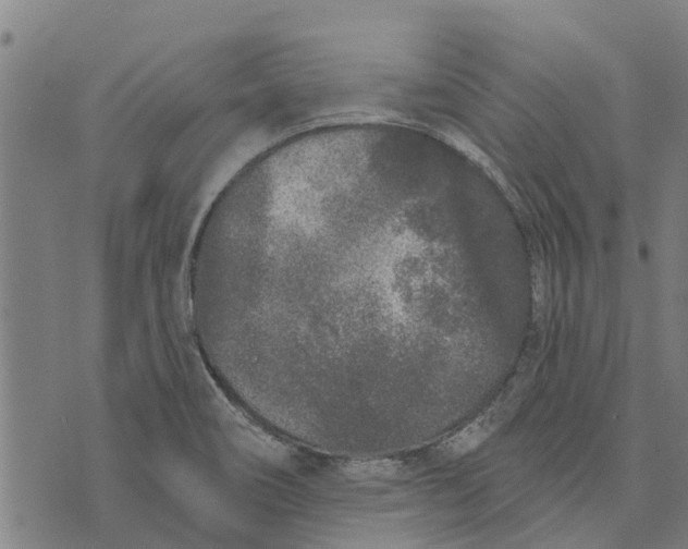 X0000073521466200608211752