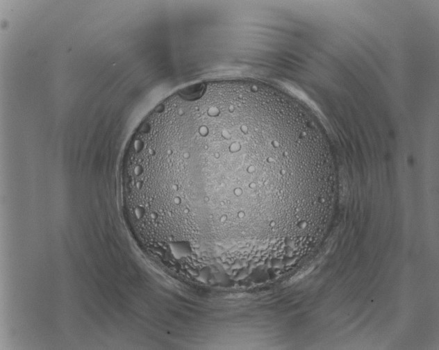 X0000073521467200608211752