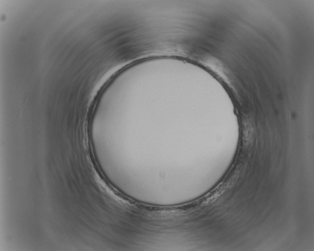 X0000073521468200608211752