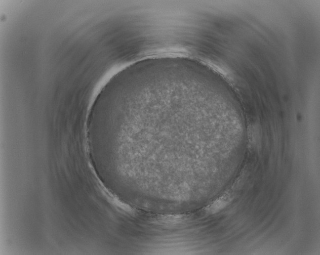 X0000073521470200608211752