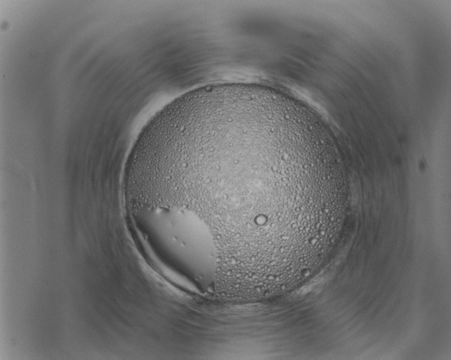 X0000073521471200608211752