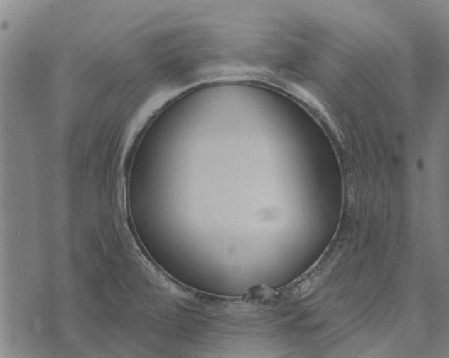 X0000073521472200608211752