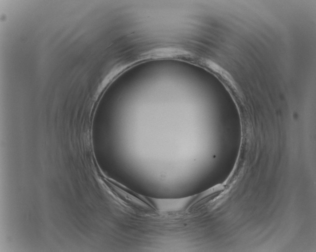 X0000073521473200608211752