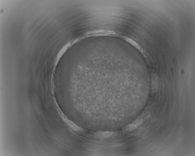 X0000073521474200608211752