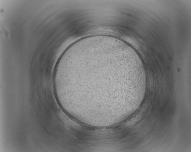 X0000073521478200608211752