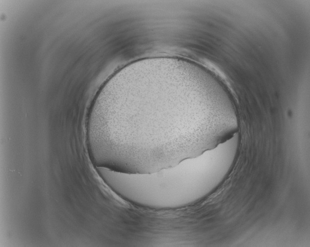 X0000073521480200608211752