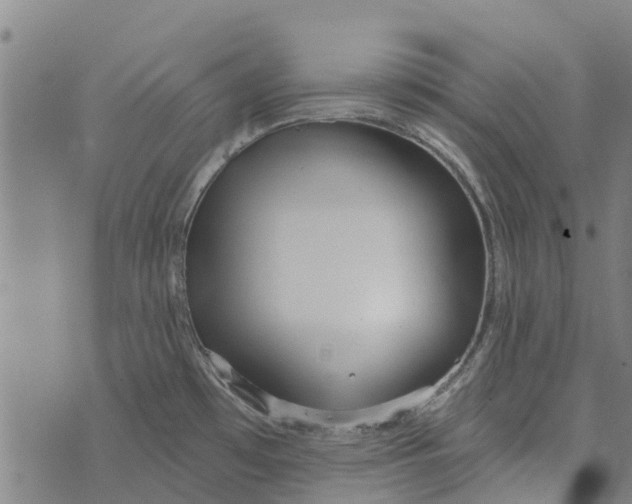 X0000073521481200608211752