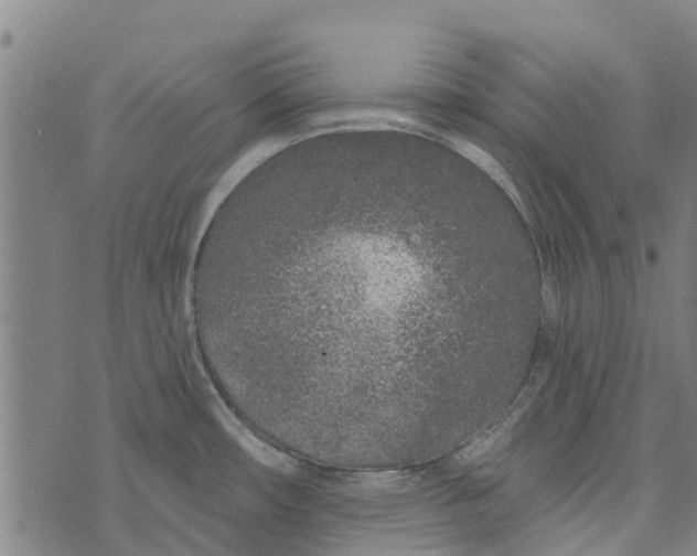 X0000073521482200608211752