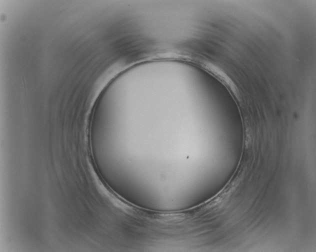 X0000073521483200608211752