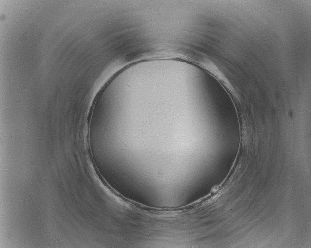 X0000073521484200608211752