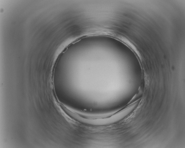 X0000073521485200608211752