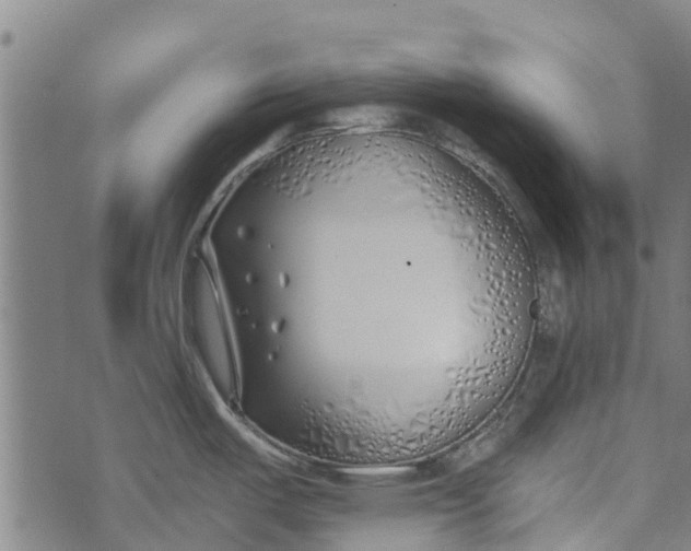 X0000073521487200608211752