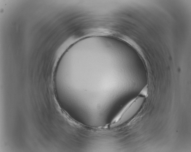 X0000073521488200608211752