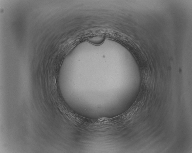 X0000073521489200608211751