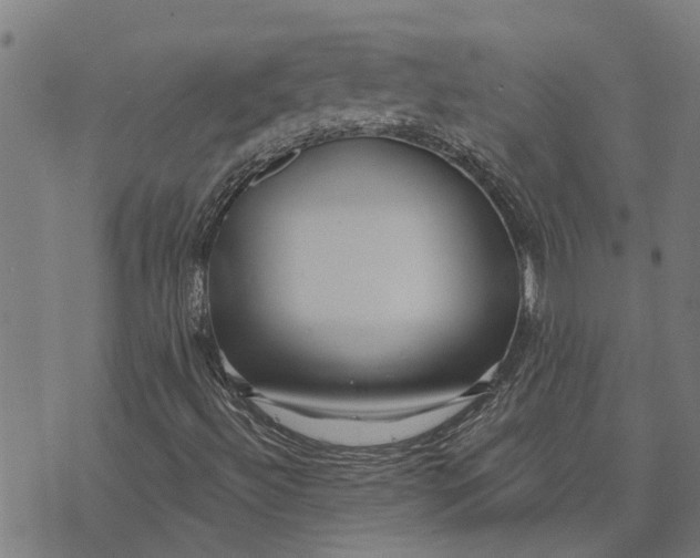 X0000073521492200608211751