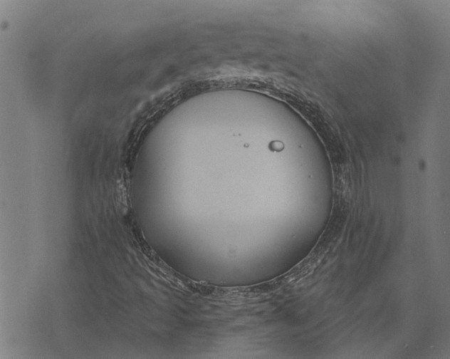 X0000073521493200608211751