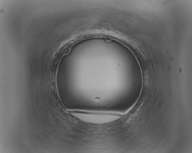 X0000073521494200608211751