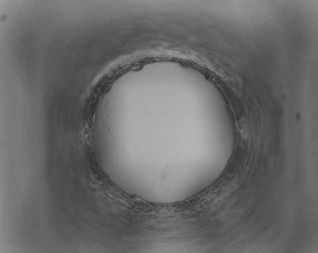 X0000073521495200608211751