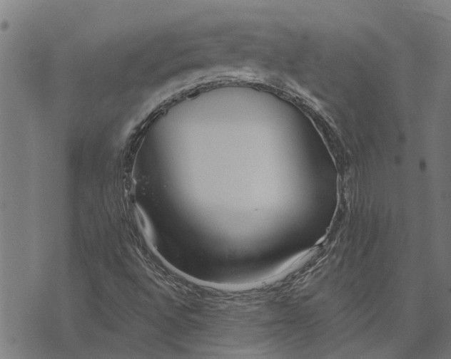 X0000073521496200608211751