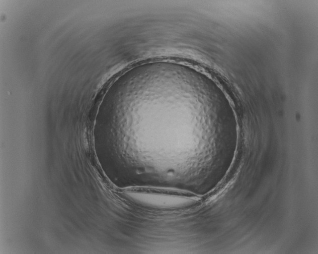 X0000073521497200608211751