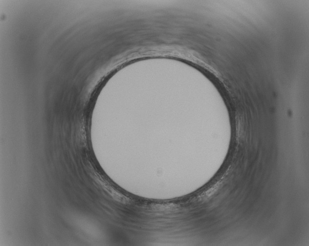 X0000073521498200608211751