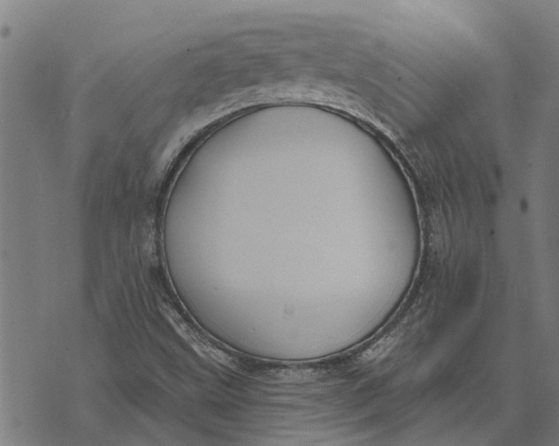 X0000073521499200608211751