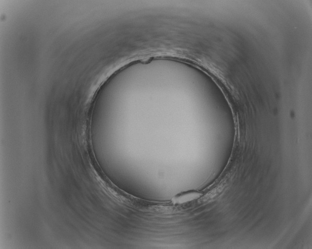 X0000073521500200608211751