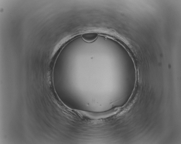 X0000073521501200608211751