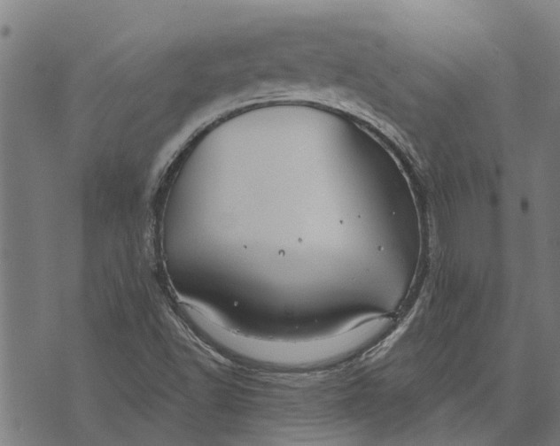 X0000073521502200608211751