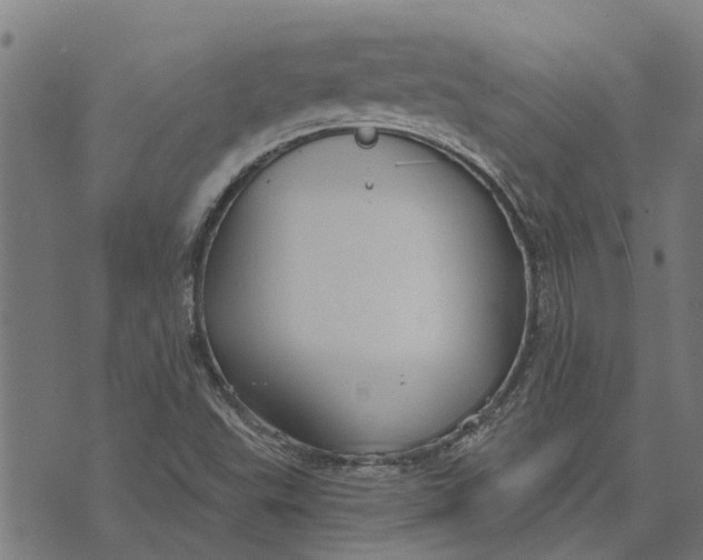 X0000073521503200608211751