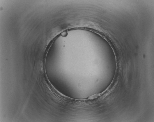 X0000073521505200608211751