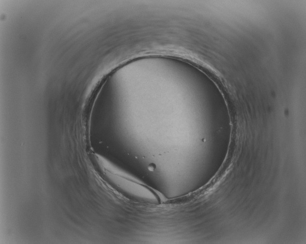 X0000073521506200608211751