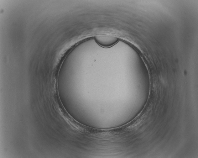 X0000073521507200608211751