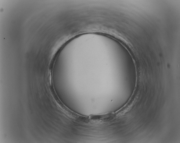 X0000073521509200608211752