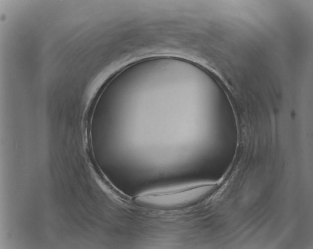 X0000073521511200608211752