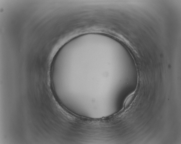 X0000073521512200608211752