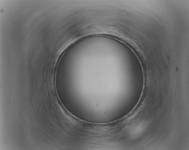 X0000073521513200608211752