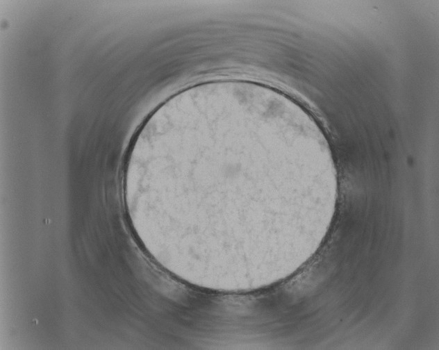 X0000073521514200608211752