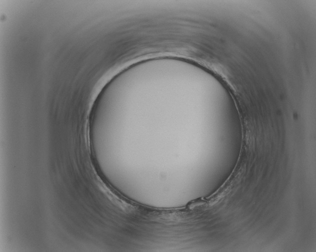 X0000073521516200608211752