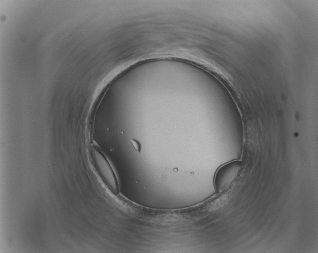 X0000073521517200608211752