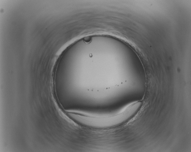 X0000073521518200608211752