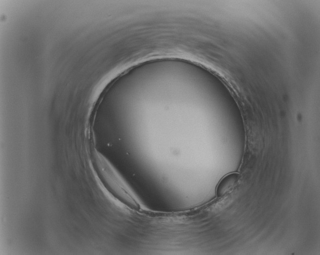 X0000073521519200608211752