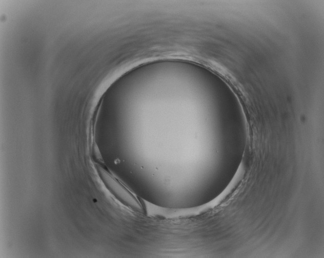 X0000073521520200608211752