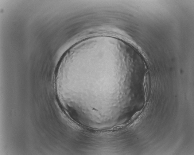 X0000073521522200608211752